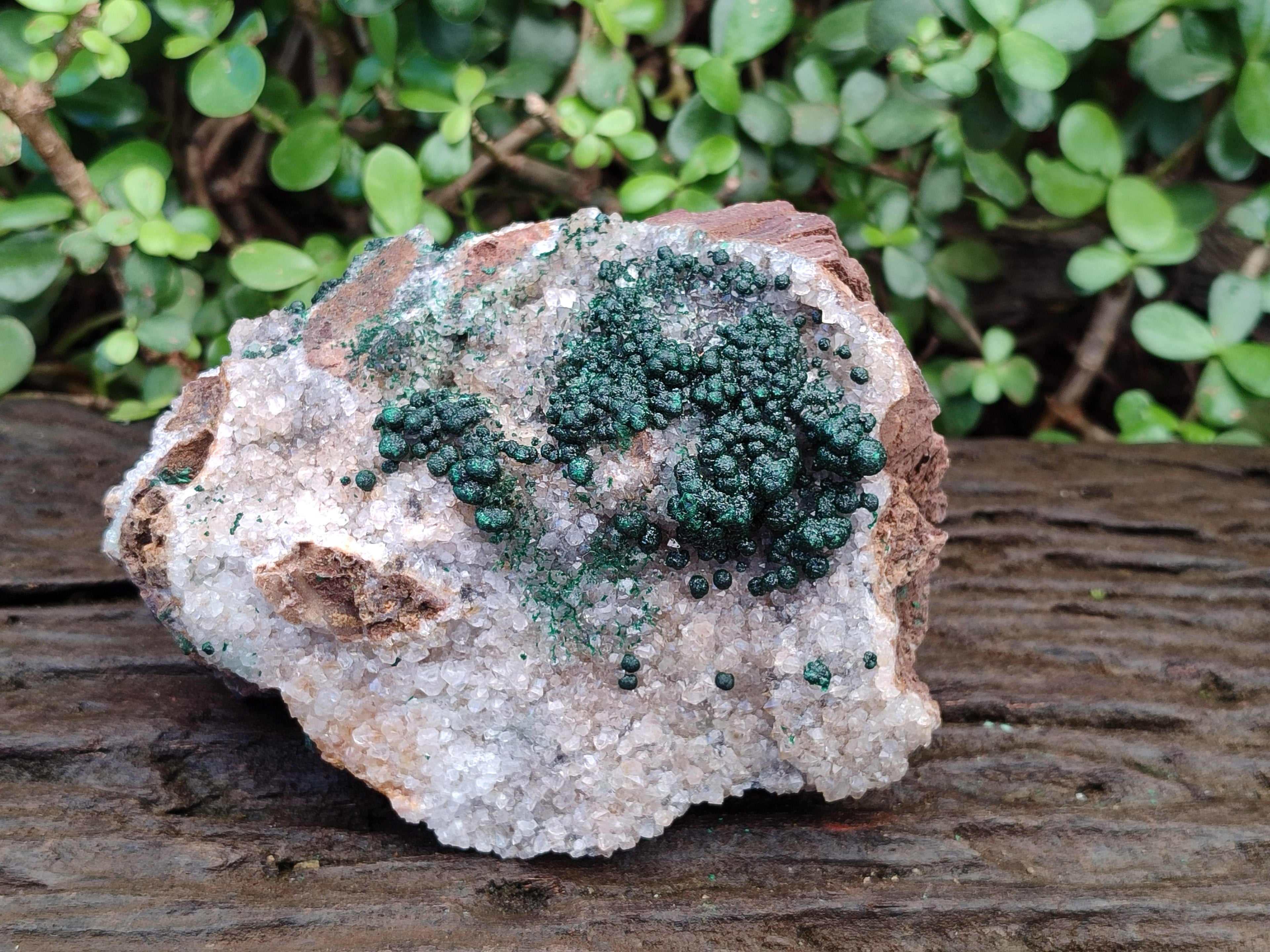 Natural Large Cabinet Ball Malachite Specimen Coated with Drusy Quartz on Dolomite x 1 From Mindingi Mine, Congo - Toprock Gemstones and Minerals 