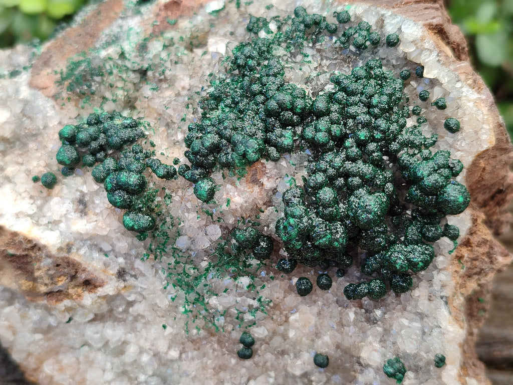 Natural Large Cabinet Ball Malachite Specimen Coated with Drusy Quartz on Dolomite x 1 From Mindingi Mine, Congo - Toprock Gemstones and Minerals 