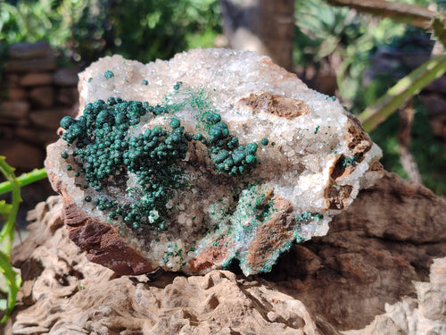 Natural Large Cabinet Ball Malachite Specimen Coated with Drusy Quartz on Dolomite x 1 From Mindingi Mine, Congo - Toprock Gemstones and Minerals 