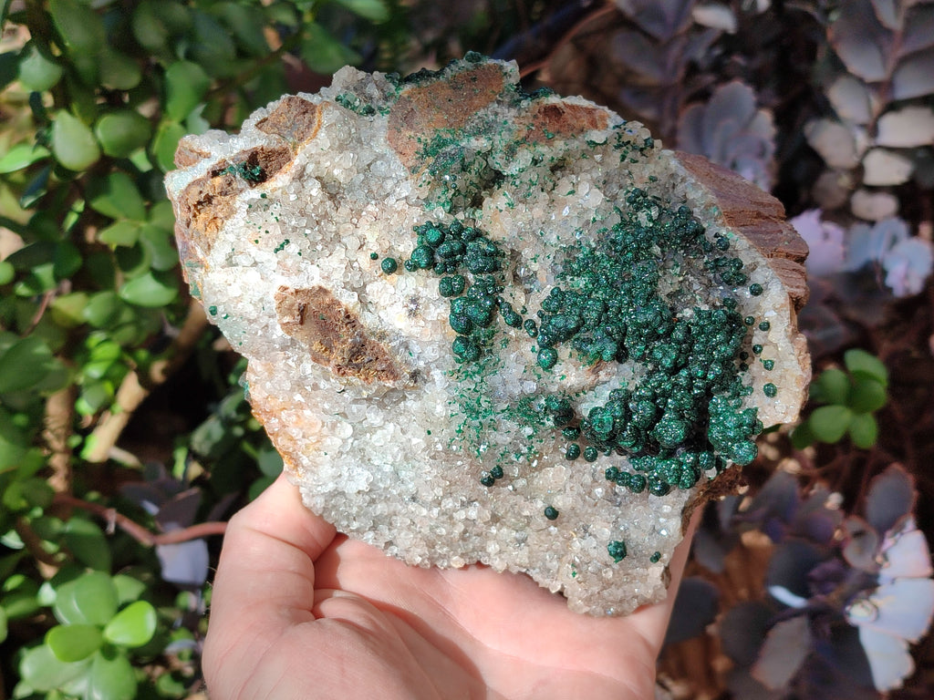 Natural Large Cabinet Ball Malachite Specimen Coated with Drusy Quartz on Dolomite x 1 From Mindingi Mine, Congo - Toprock Gemstones and Minerals 