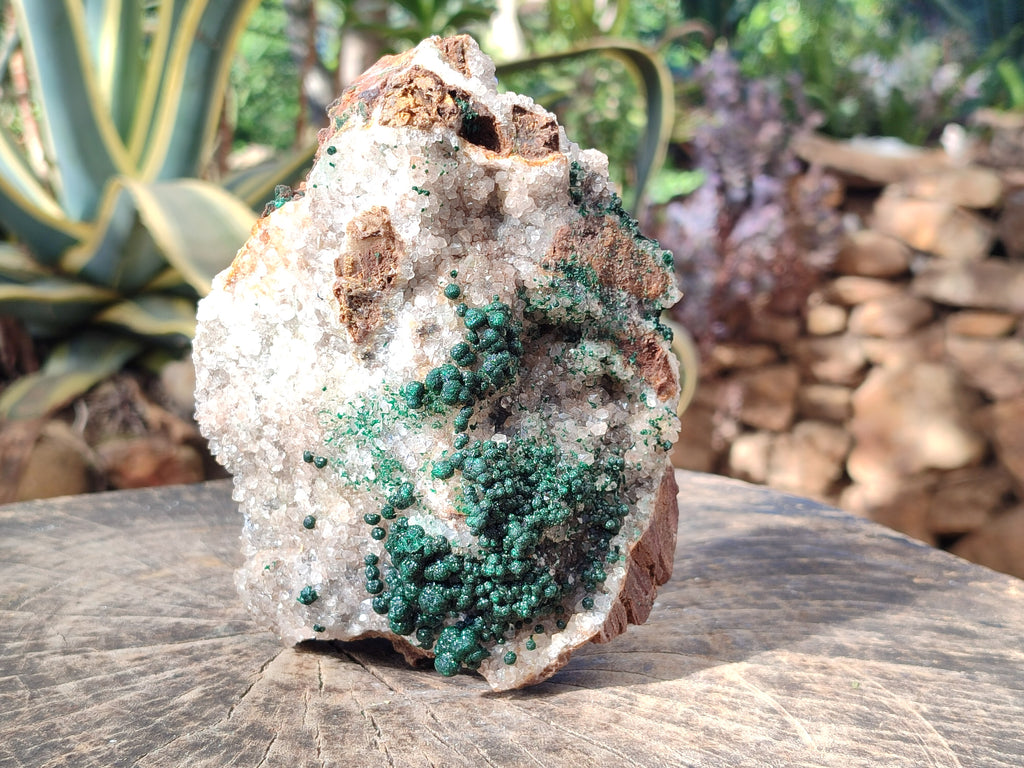 Natural Large Cabinet Ball Malachite Specimen Coated with Drusy Quartz on Dolomite x 1 From Mindingi Mine, Congo - Toprock Gemstones and Minerals 