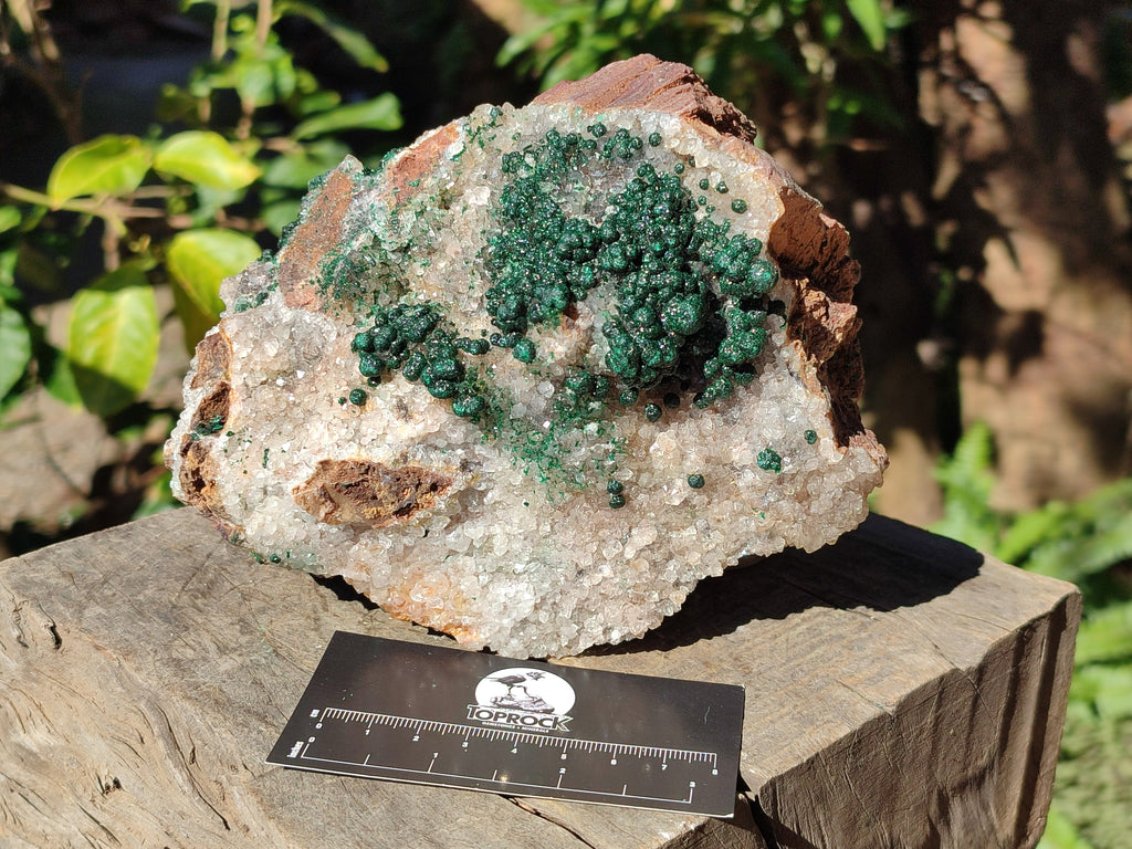 Natural Large Cabinet Ball Malachite Specimen Coated with Drusy Quartz on Dolomite x 1 From Mindingi Mine, Congo - Toprock Gemstones and Minerals 