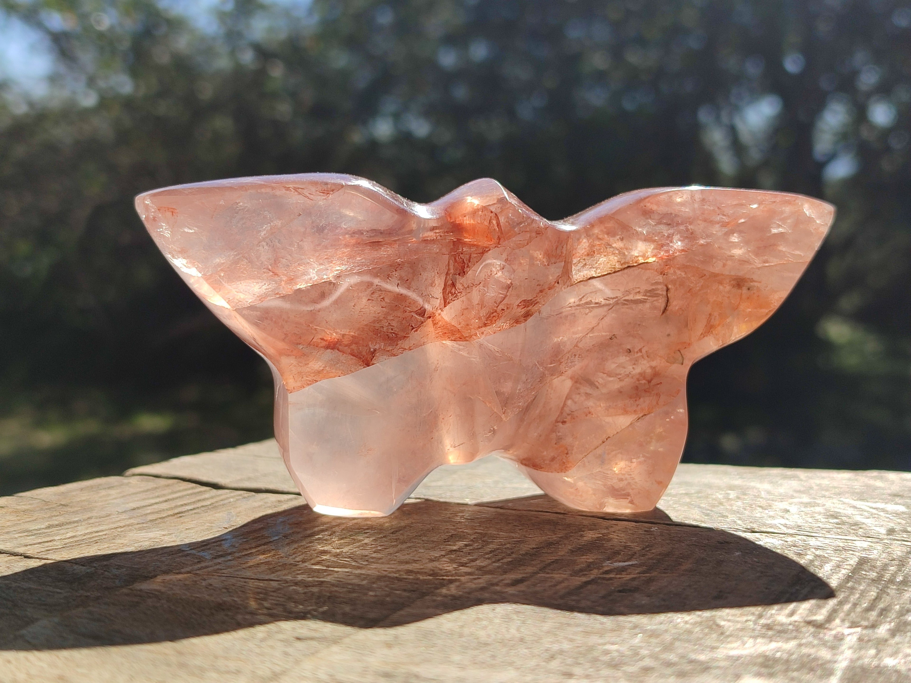 Hand Made Golden and Red Hematoid Quartz Butterfly Sculptures x 5 From Madagascar - Toprock Gemstones and Minerals 