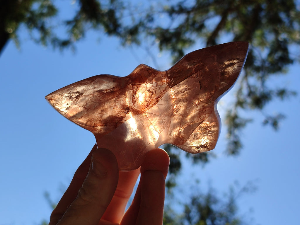 Hand Made Golden and Red Hematoid Quartz Butterfly Sculptures x 5 From Madagascar - Toprock Gemstones and Minerals 