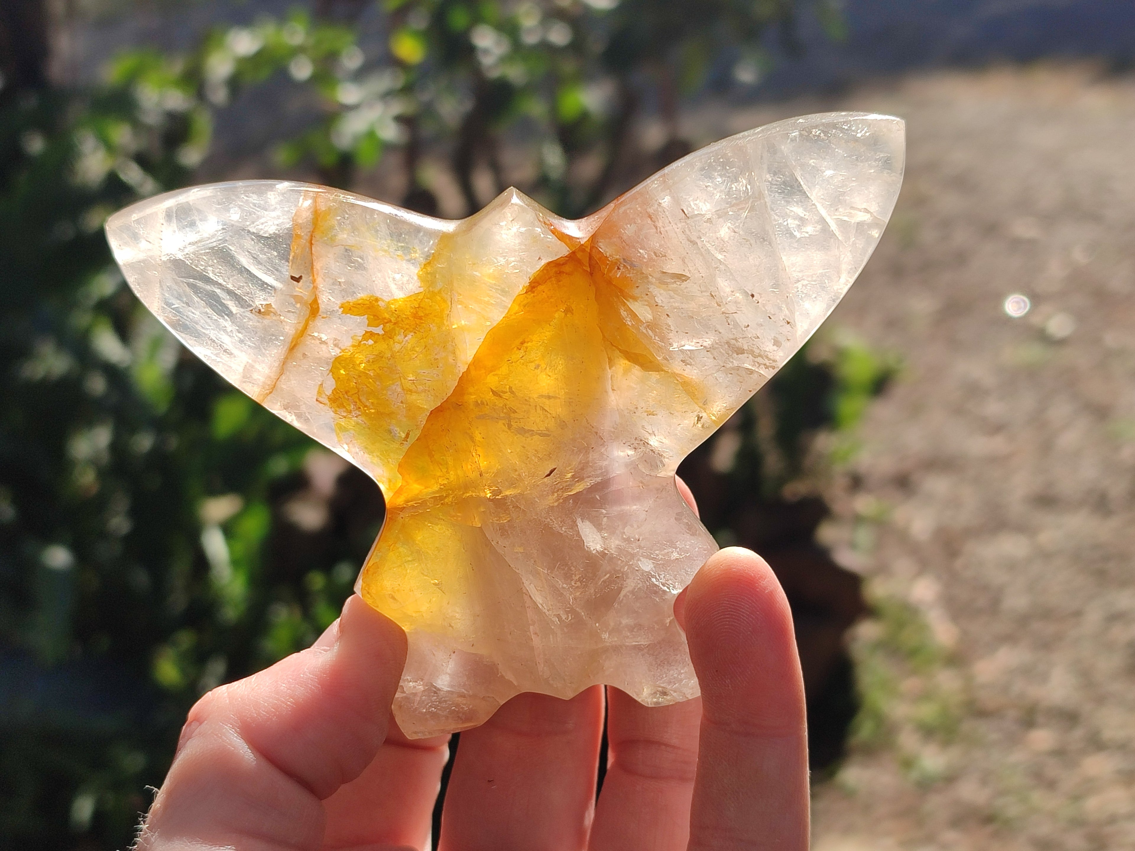 Hand Made Golden and Red Hematoid Quartz Butterfly Sculptures x 5 From Madagascar - Toprock Gemstones and Minerals 