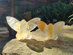 Hand Made Golden and Red Hematoid Quartz Butterfly Sculptures x 5 From Madagascar - Toprock Gemstones and Minerals 