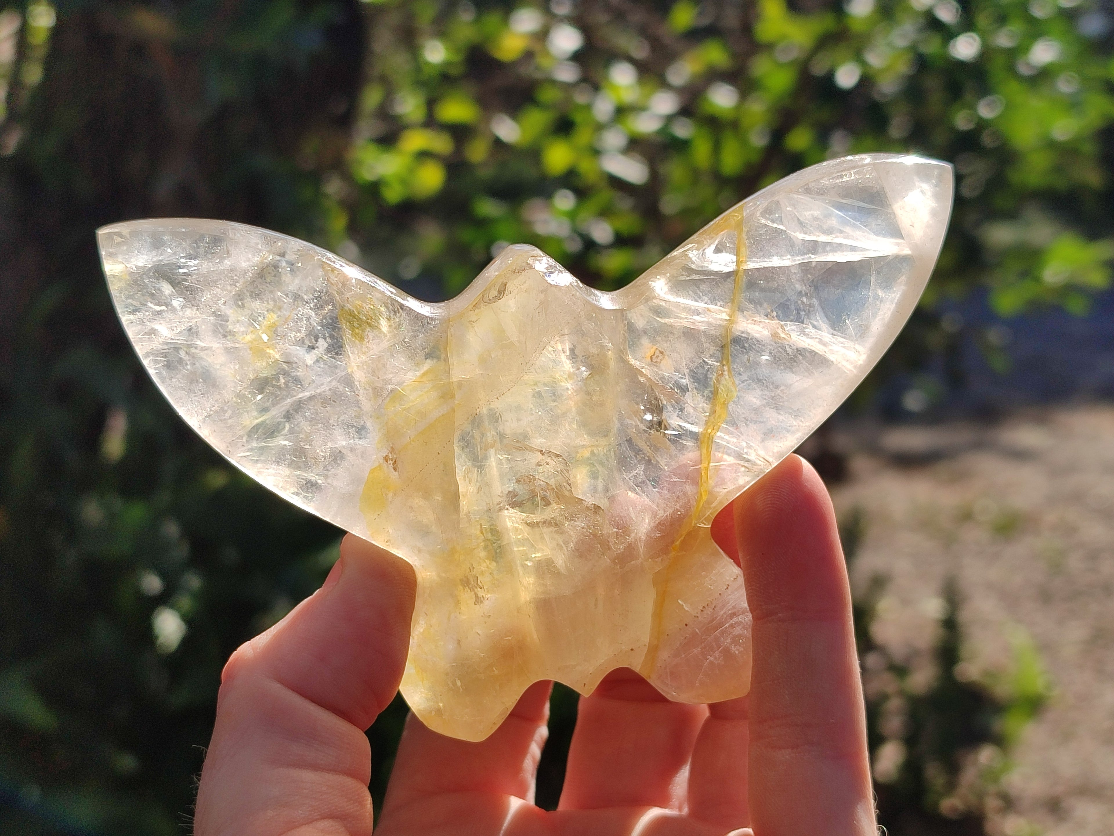 Hand Made Golden and Red Hematoid Quartz Butterfly Sculptures x 5 From Madagascar - Toprock Gemstones and Minerals 