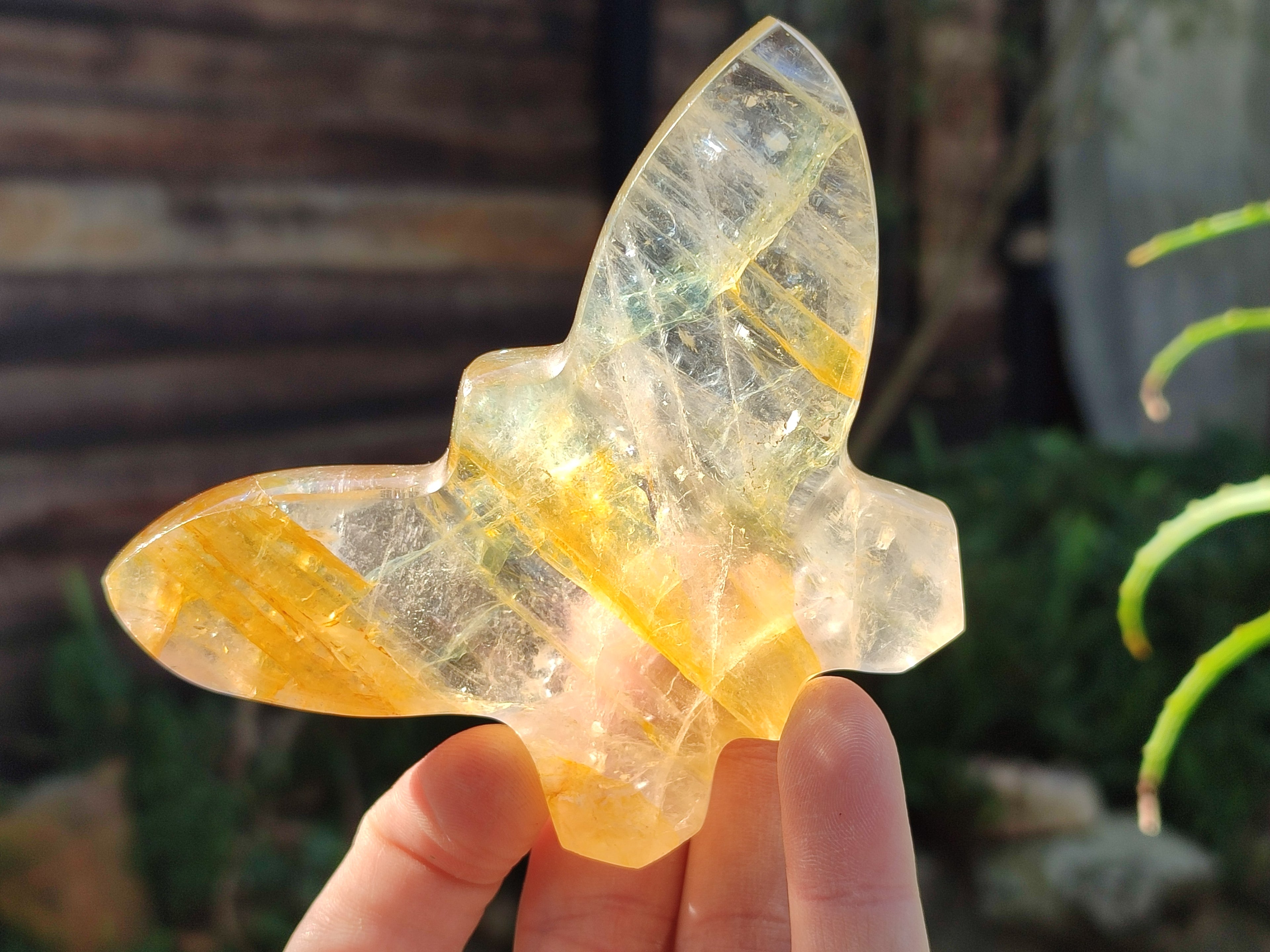 Hand Made Golden and Red Hematoid Quartz Butterfly Sculptures x 5 From Madagascar - Toprock Gemstones and Minerals 
