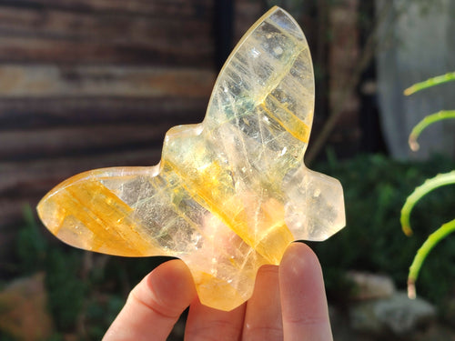 Hand Made Golden and Red Hematoid Quartz Butterfly Sculptures x 5 From Madagascar - Toprock Gemstones and Minerals 