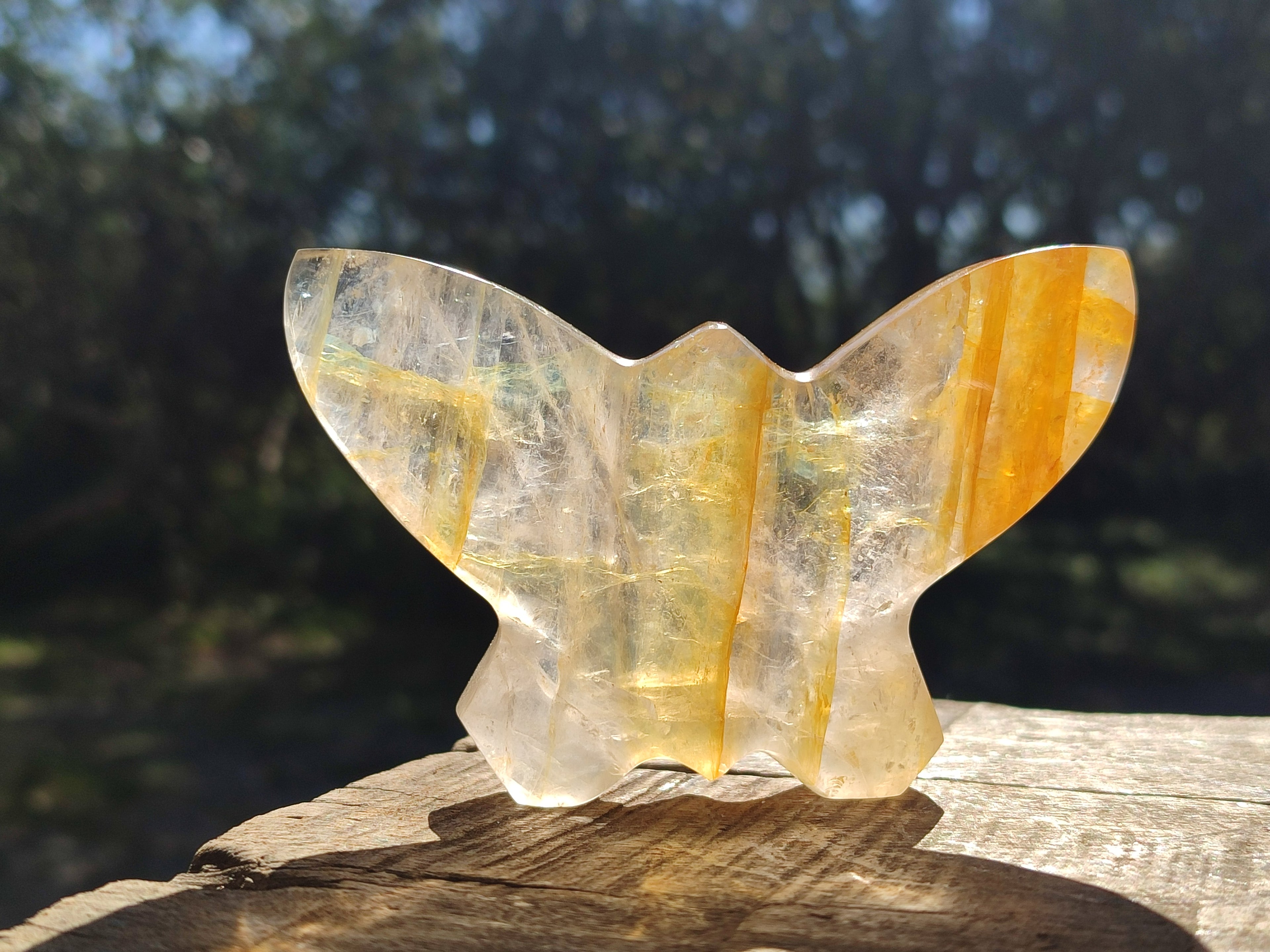 Hand Made Golden and Red Hematoid Quartz Butterfly Sculptures x 5 From Madagascar - Toprock Gemstones and Minerals 