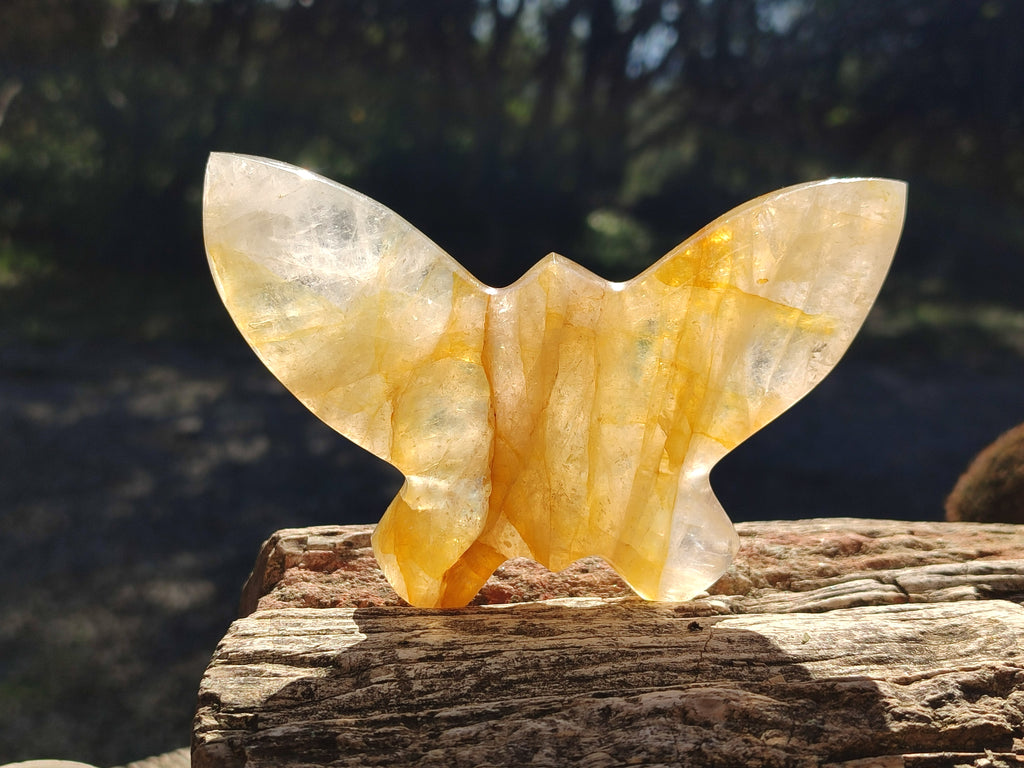 Hand Made Golden and Red Hematoid Quartz Butterfly Sculptures x 5 From Madagascar - Toprock Gemstones and Minerals 