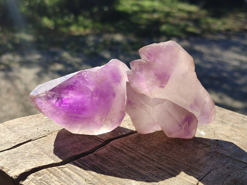Natural Window Amethyst Double Terminated Crystals x 6 From Ambatondrazaka, Madagascar - Toprock Gemstones and Minerals 