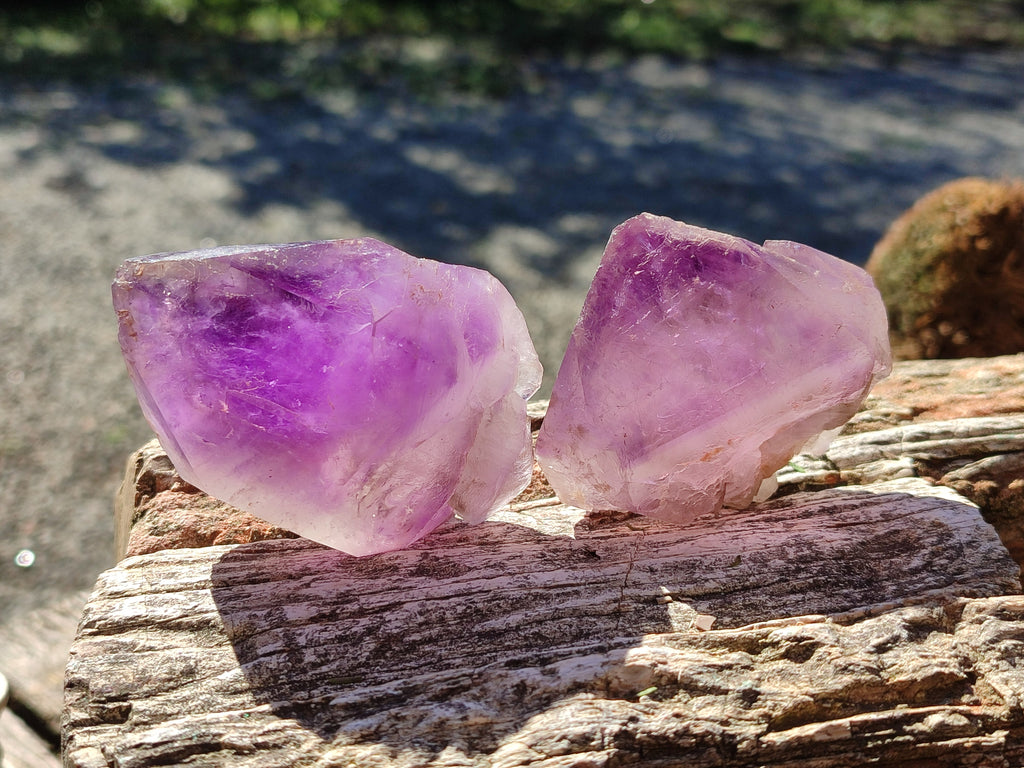 Natural Window Amethyst Double Terminated Crystals x 6 From Ambatondrazaka, Madagascar - Toprock Gemstones and Minerals 