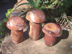 Polished Red Podocarpus Petrified Wood Mushrooms x 5 From Mahajanga, Madagascar - Toprock Gemstones and Minerals 