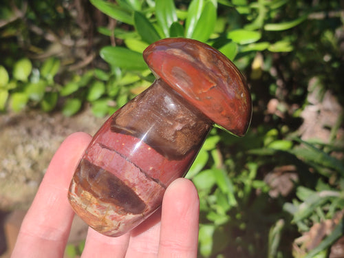 Polished Red Podocarpus Petrified Wood Mushrooms x 5 From Mahajanga, Madagascar - Toprock Gemstones and Minerals 