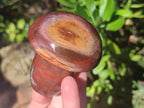 Polished Red Podocarpus Petrified Wood Mushrooms x 5 From Mahajanga, Madagascar - Toprock Gemstones and Minerals 