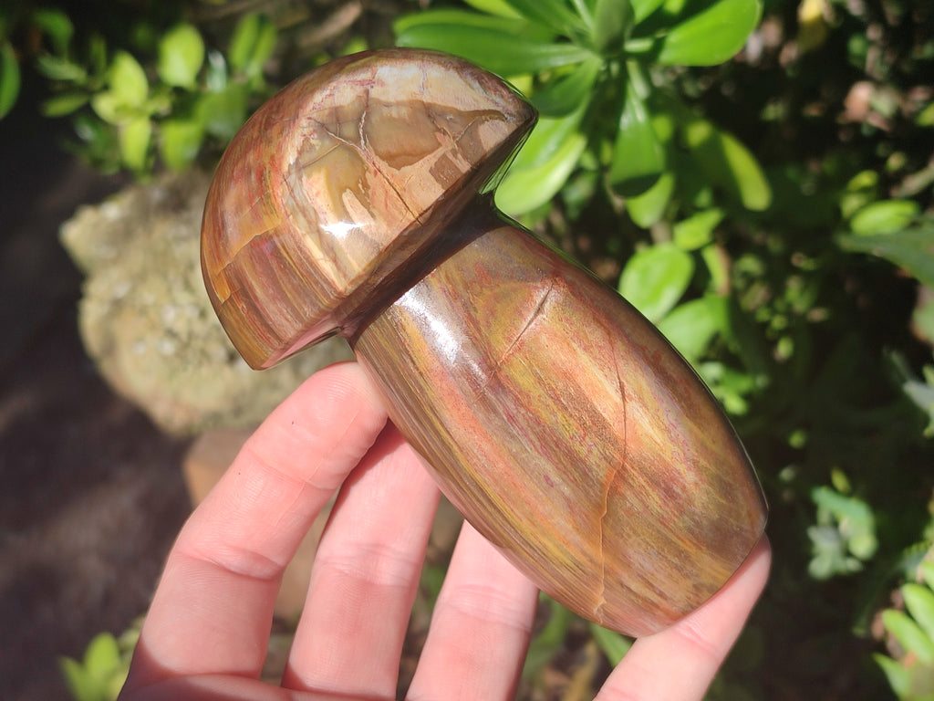 Polished Red Podocarpus Petrified Wood Mushrooms x 5 From Mahajanga, Madagascar - Toprock Gemstones and Minerals 