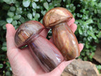 Polished Red Podocarpus Petrified Wood Mushrooms x 5 From Mahajanga, Madagascar - Toprock Gemstones and Minerals 