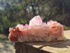 Natural Spirit Amethyst Clusters x 6 From Boekenhouthoek, South Africa - Toprock Gemstones and Minerals 
