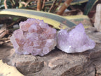 Natural Spirit Amethyst Clusters x 6 From Boekenhouthoek, South Africa - Toprock Gemstones and Minerals 