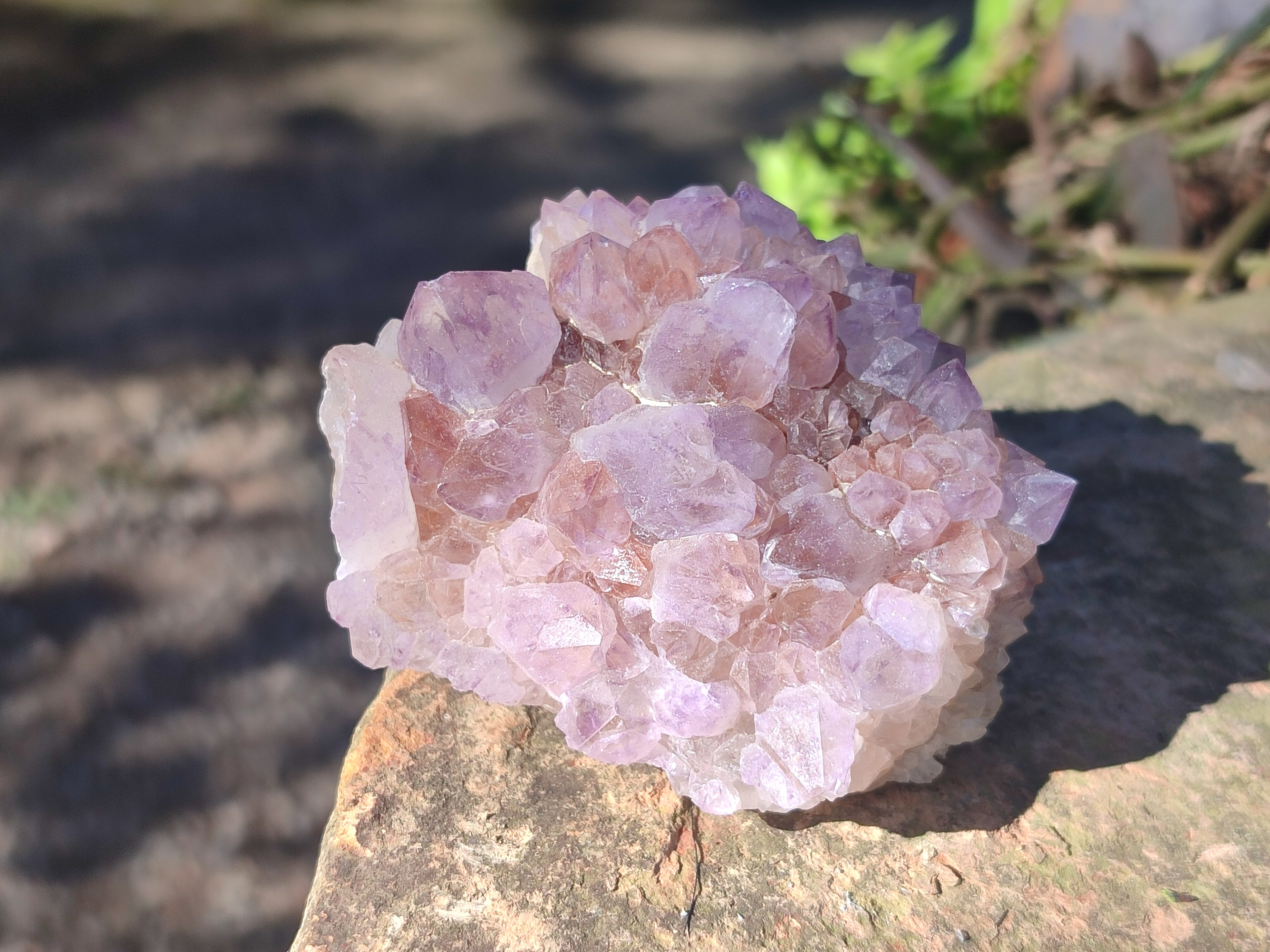 Natural Spirit Amethyst Clusters x 6 From Boekenhouthoek, South Africa - Toprock Gemstones and Minerals 
