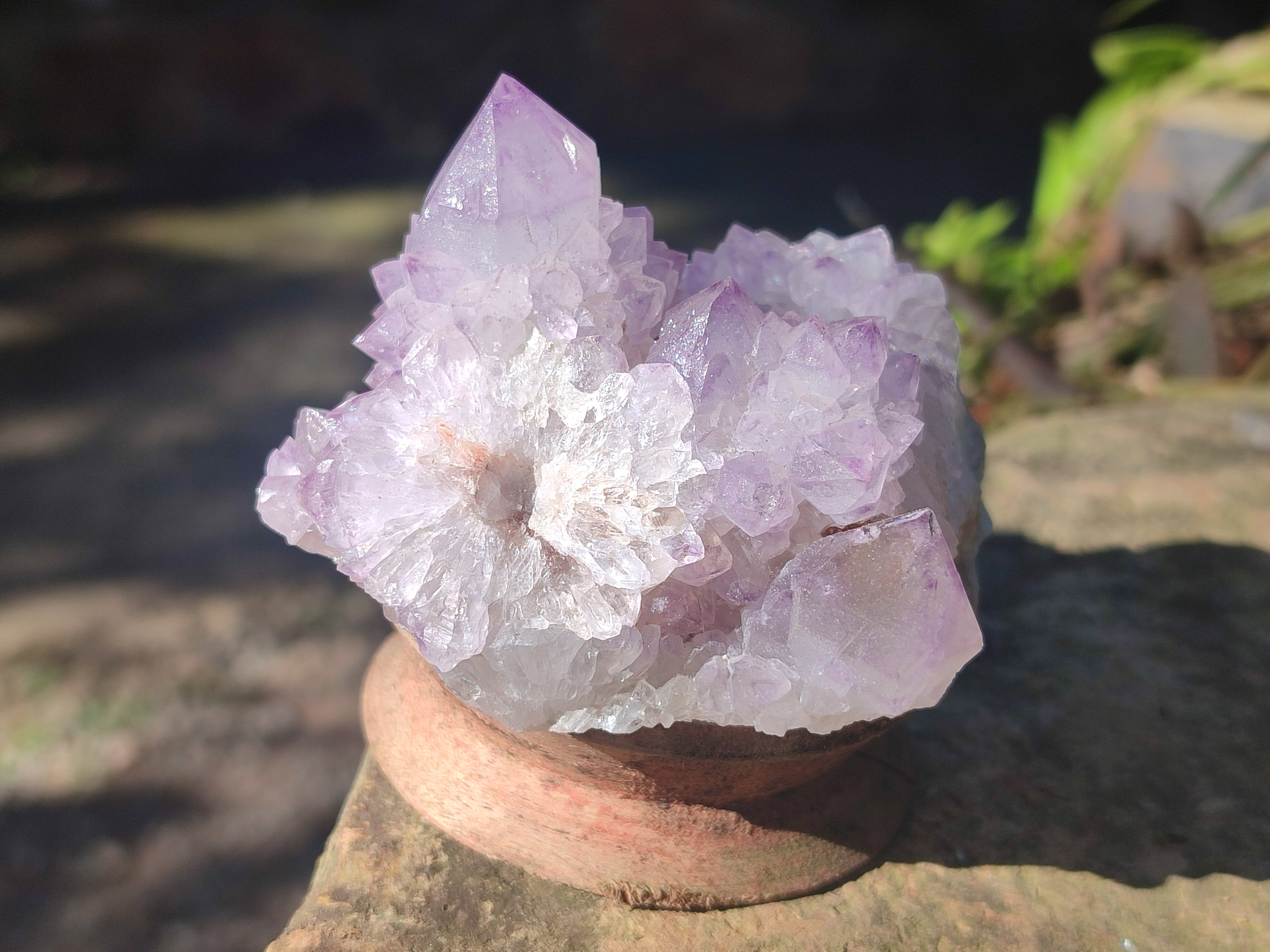Natural Spirit Amethyst Clusters x 6 From Boekenhouthoek, South Africa - Toprock Gemstones and Minerals 
