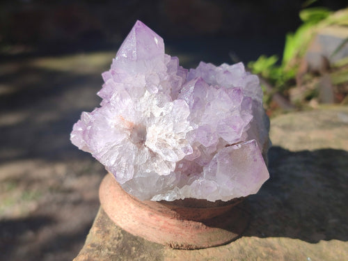 Natural Spirit Amethyst Clusters x 6 From Boekenhouthoek, South Africa - Toprock Gemstones and Minerals 