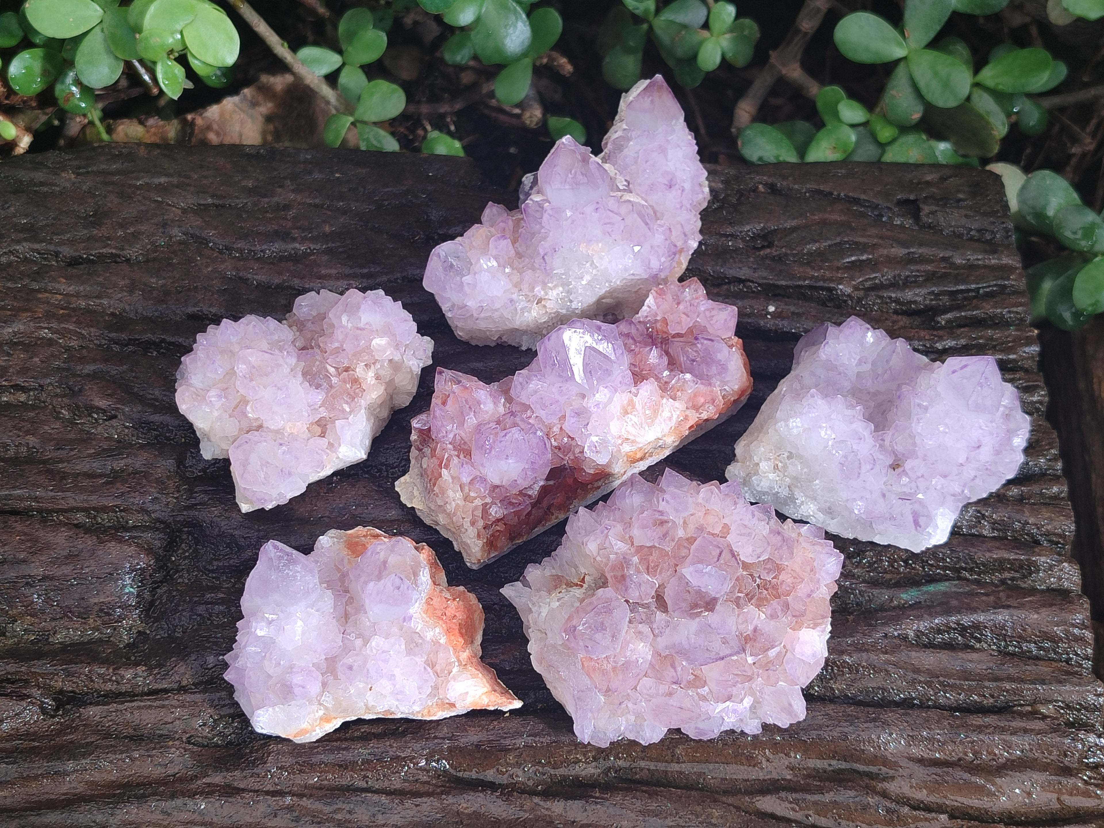 Natural Spirit Amethyst Clusters x 6 From Boekenhouthoek, South Africa - Toprock Gemstones and Minerals 