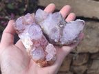 Natural Spirit Amethyst Clusters x 6 From Boekenhouthoek, South Africa - Toprock Gemstones and Minerals 