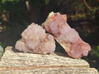 Natural Spirit Amethyst Clusters x 6 From Boekenhouthoek, South Africa - Toprock Gemstones and Minerals 