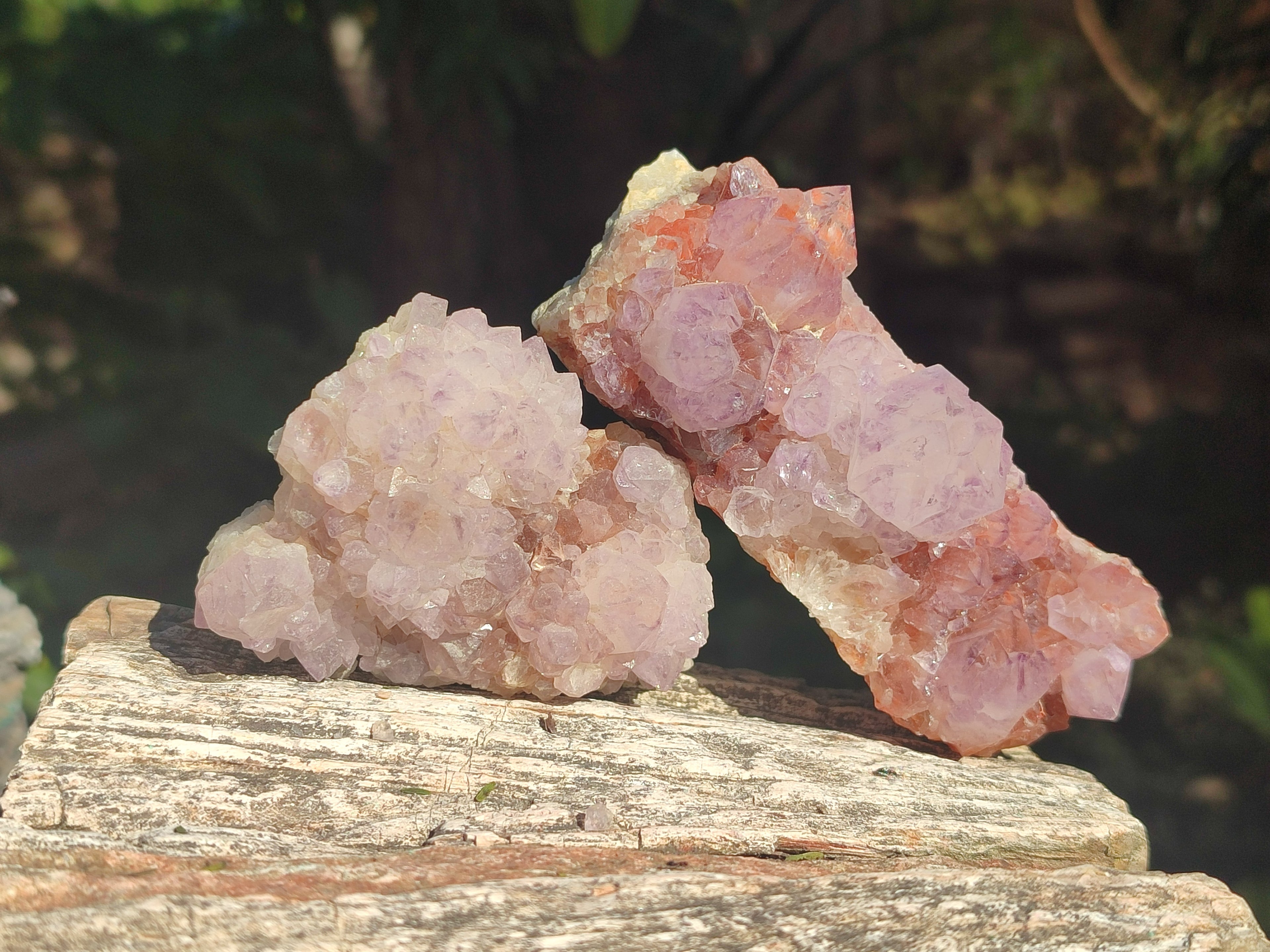 Natural Spirit Amethyst Clusters x 6 From Boekenhouthoek, South Africa - Toprock Gemstones and Minerals 