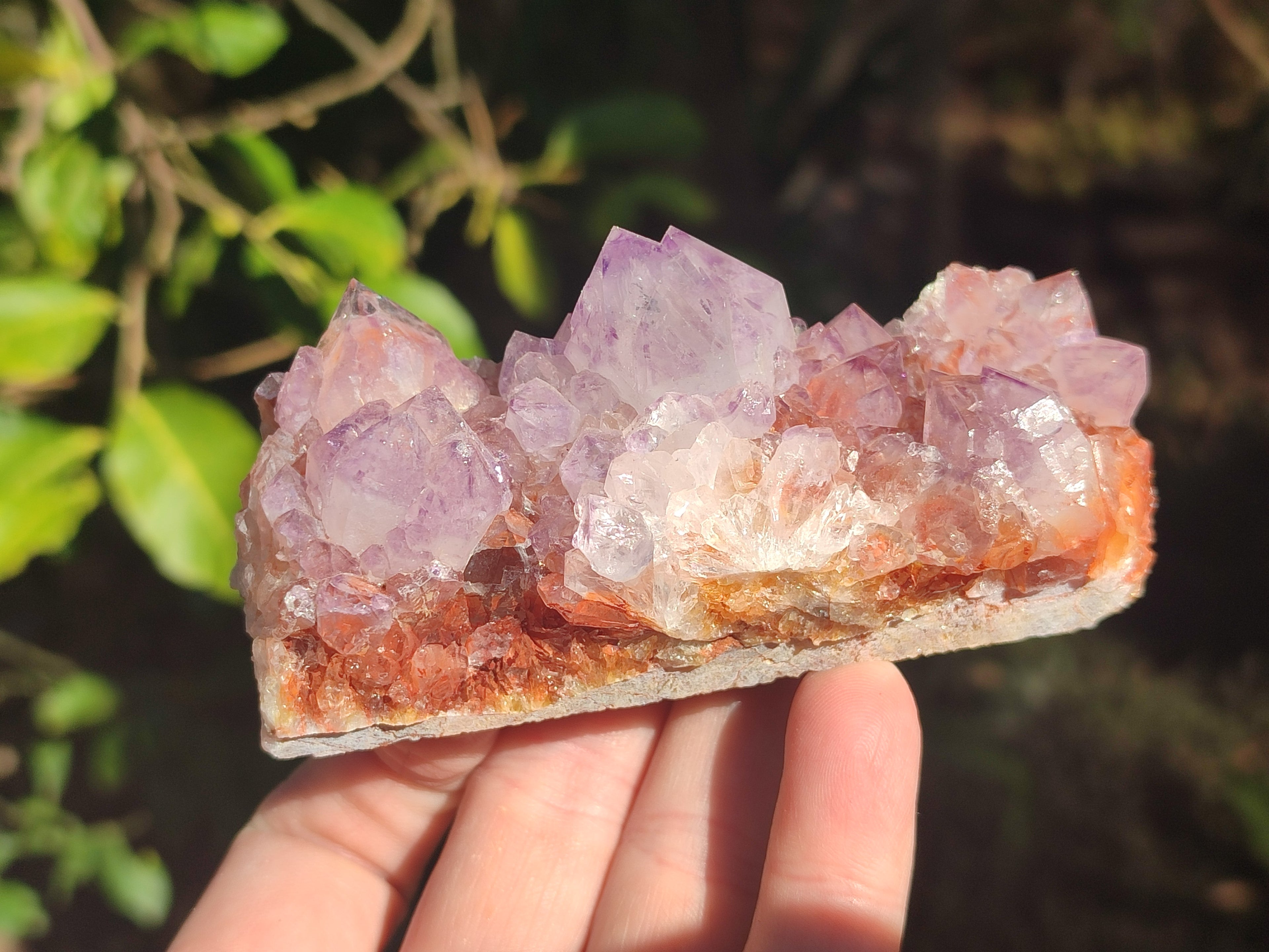 Natural Spirit Amethyst Clusters x 6 From Boekenhouthoek, South Africa - Toprock Gemstones and Minerals 