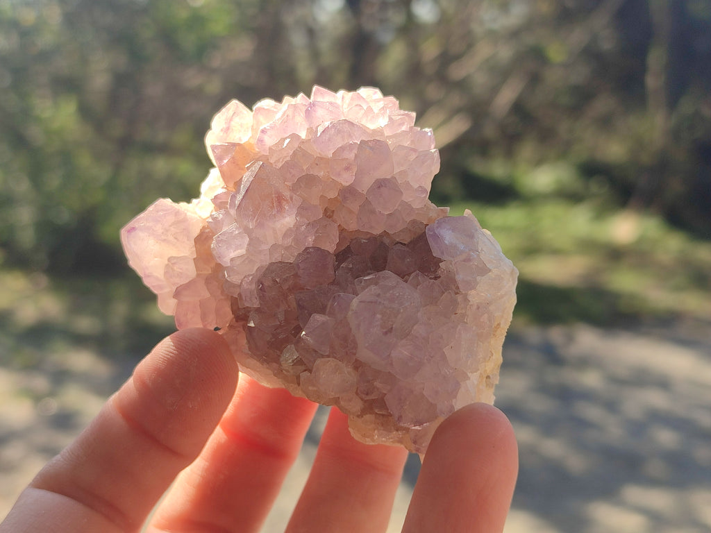 Natural Spirit Amethyst Clusters x 6 From Boekenhouthoek, South Africa - Toprock Gemstones and Minerals 