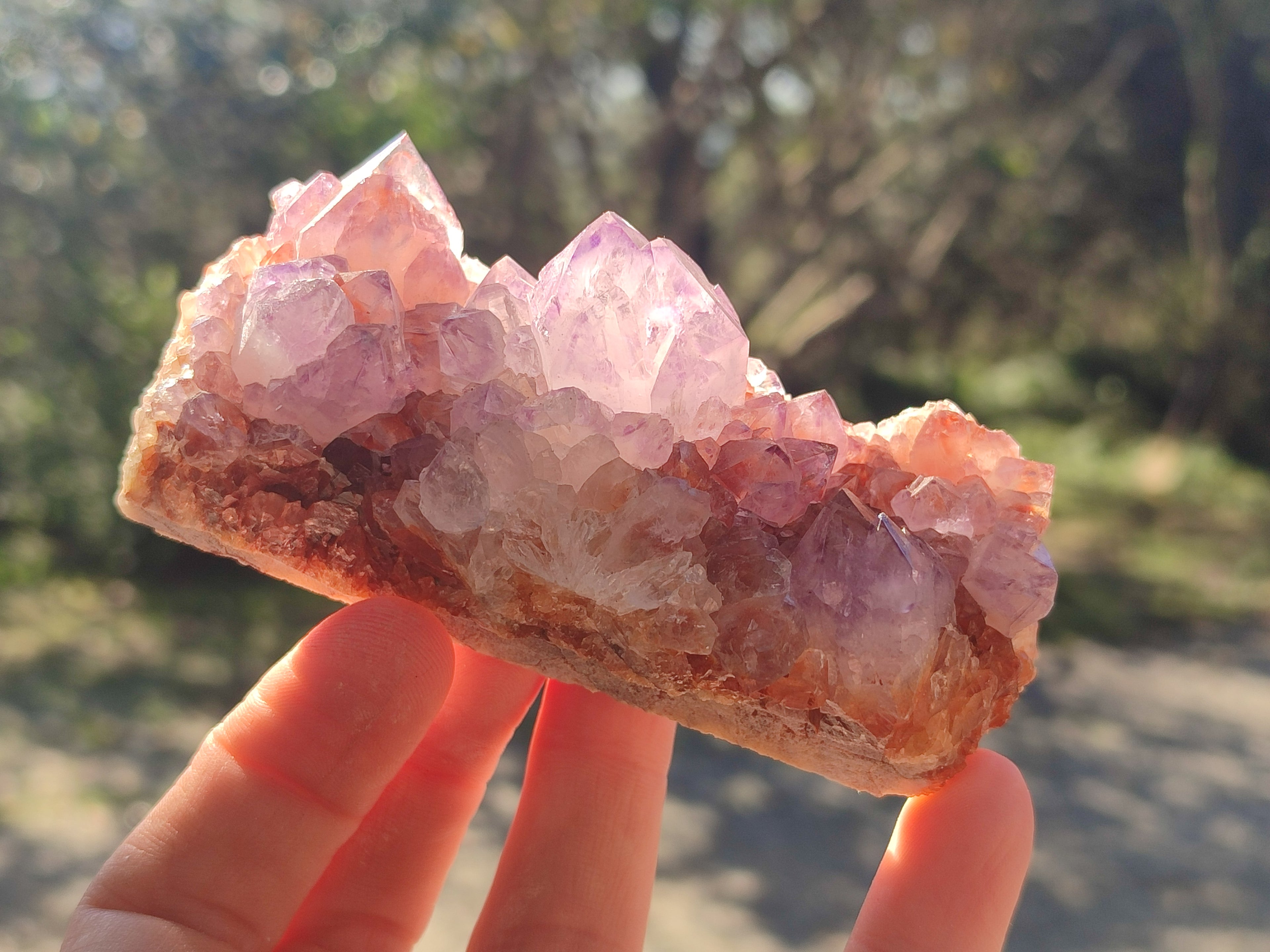 Natural Spirit Amethyst Clusters x 6 From Boekenhouthoek, South Africa - Toprock Gemstones and Minerals 