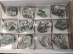 Natural Emerald Mica 'Mutokolite' Cobbed Specimens x 12 From Mutoko, Zimbabwe - Toprock Gemstones and Minerals 