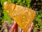 Polished Picture Stone Jasper Standing Display Pieces x 2 From Ais-Ais, Namibia - Toprock Gemstones and Minerals 