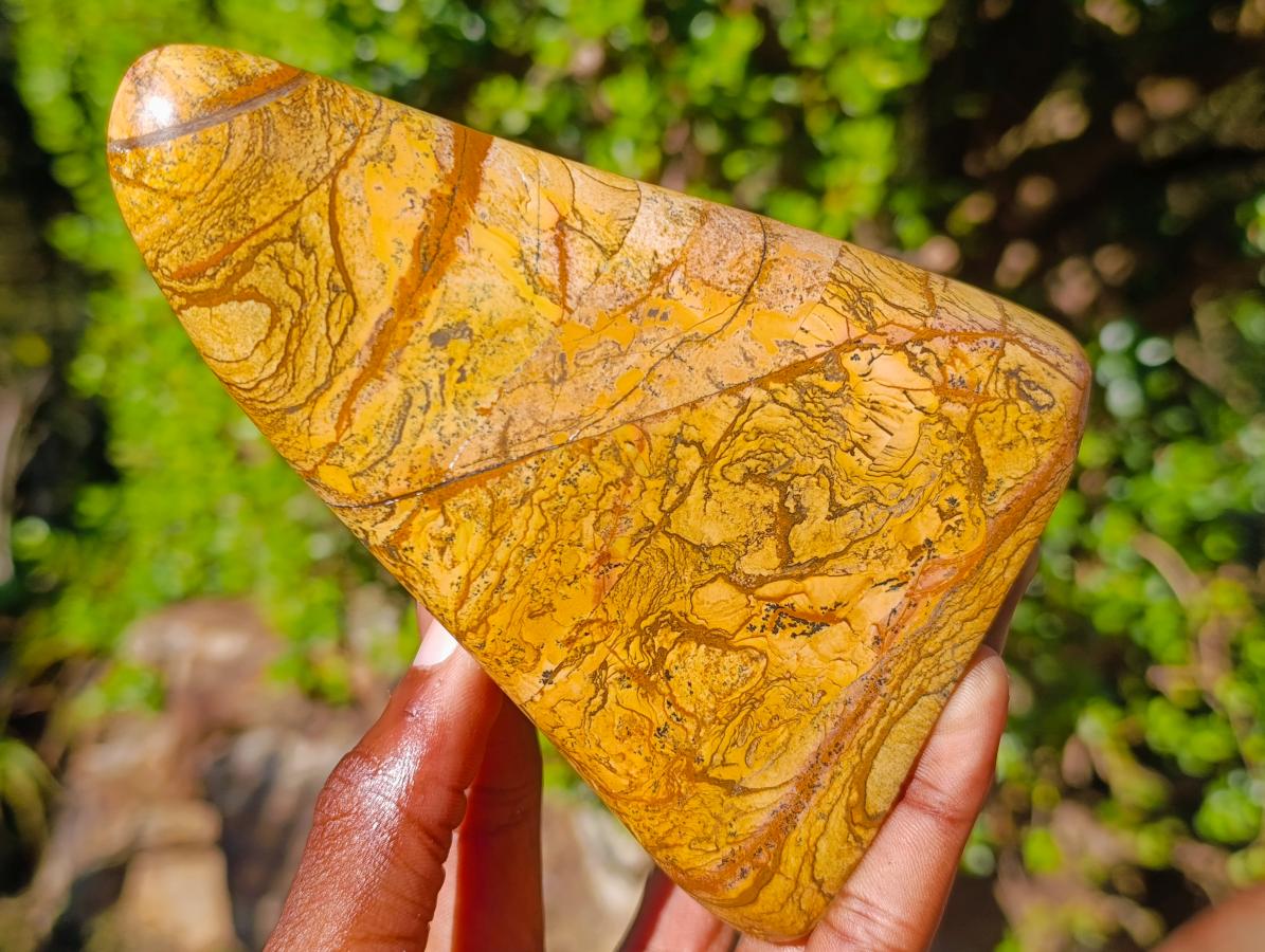 Polished Picture Stone Jasper Standing Display Pieces x 2 From Ais-Ais, Namibia - Toprock Gemstones and Minerals 