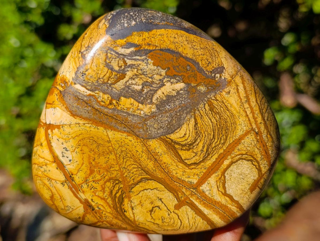 Polished Picture Stone Jasper Standing Display Pieces x 2 From Ais-Ais, Namibia - Toprock Gemstones and Minerals 