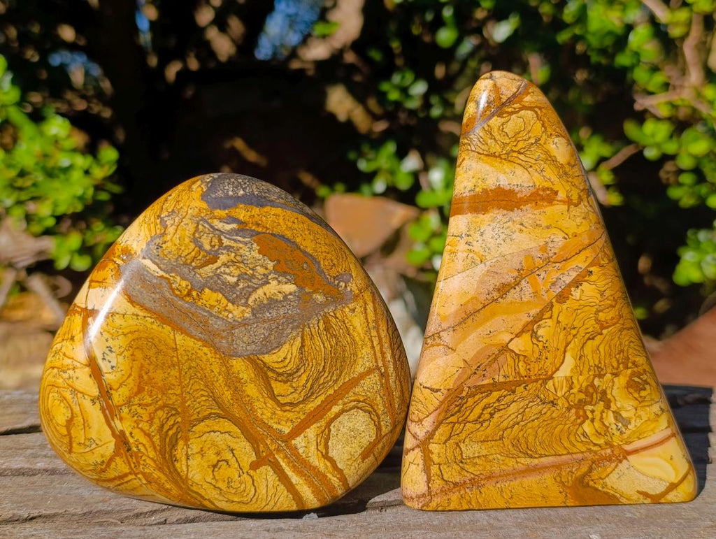 Polished Picture Stone Jasper Standing Display Pieces x 2 From Ais-Ais, Namibia - Toprock Gemstones and Minerals 