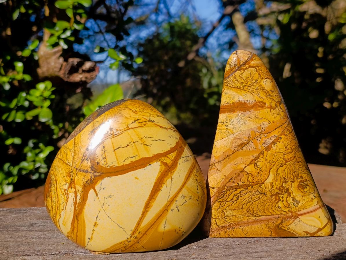 Polished Picture Stone Jasper Standing Display Pieces x 2 From Ais-Ais, Namibia - Toprock Gemstones and Minerals 