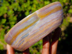 Polished Ocean Jasper Bowls x 2 From Northwest Coast, Madagascar - Toprock Gemstones and Minerals 