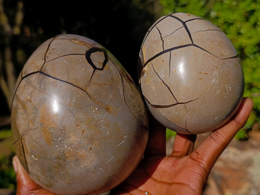 Polished Septerye Sauvage "Dragons Egg" Geodes x 2 From Mahajanga, Madagascar - Toprock Gemstones and Minerals 