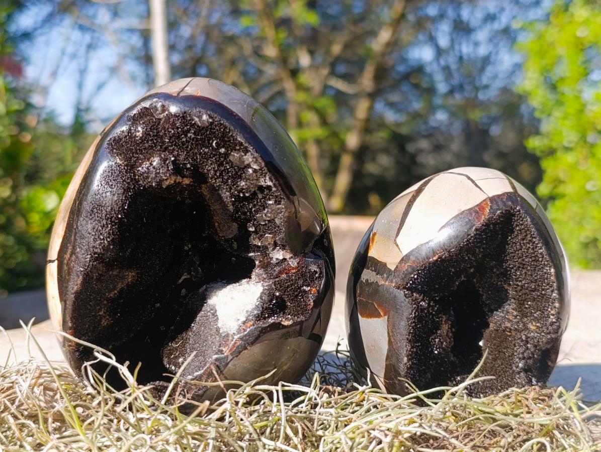 Polished Septerye Sauvage "Dragons Egg" Geodes x 2 From Mahajanga, Madagascar - Toprock Gemstones and Minerals 
