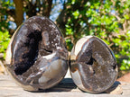 Polished Septerye Sauvage "Dragons Egg" Geodes x 2 From Mahajanga, Madagascar - Toprock Gemstones and Minerals 