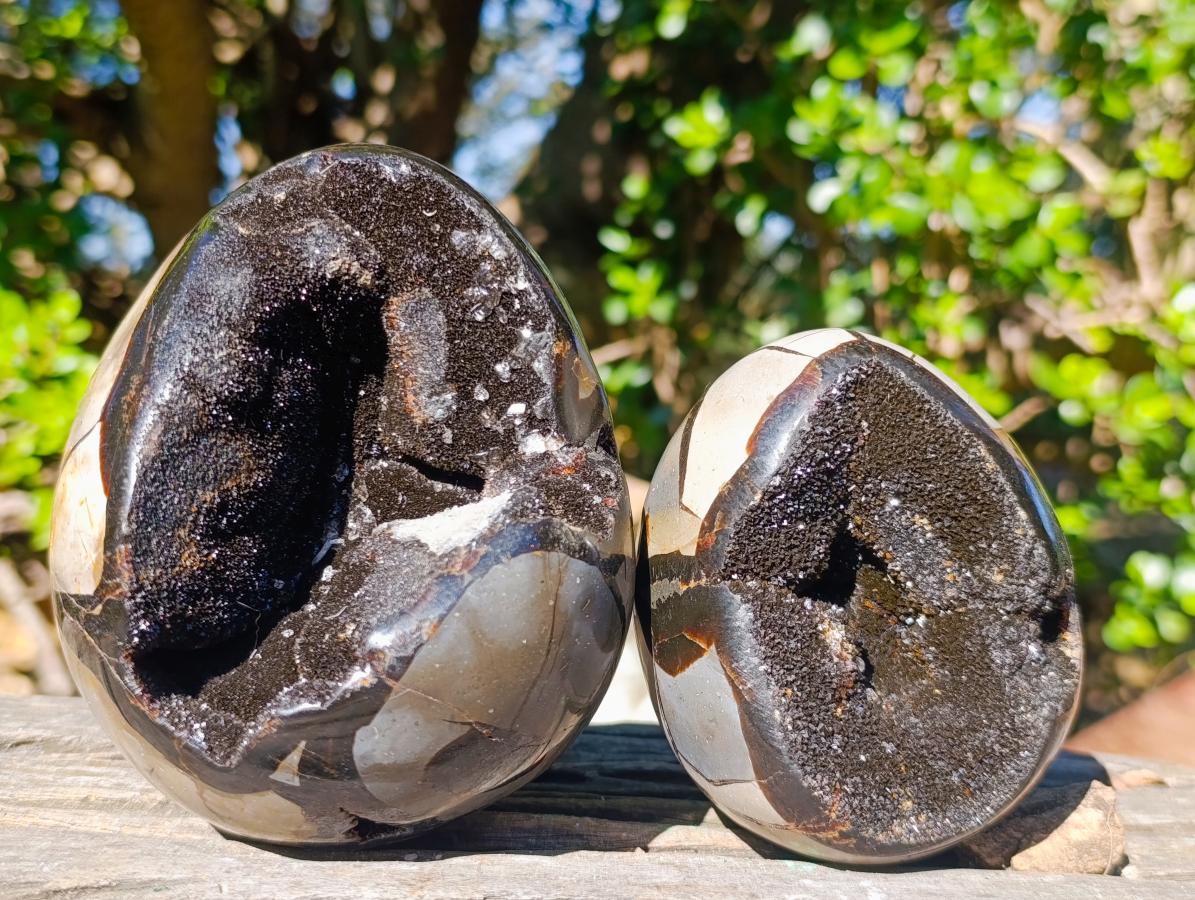 Polished Septerye Sauvage "Dragons Egg" Geodes x 2 From Mahajanga, Madagascar - Toprock Gemstones and Minerals 