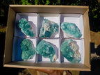 Natural Green Cubic Fluorite Specimens x 6 From Mandrosonoro, Madagascar - Toprock Gemstones and Minerals 