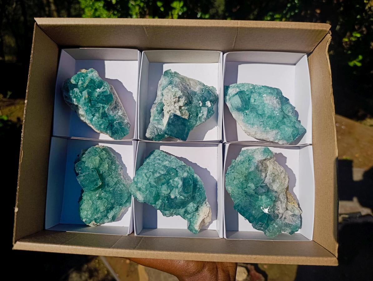Natural Green Cubic Fluorite Specimens x 6 From Mandrosonoro, Madagascar - Toprock Gemstones and Minerals 