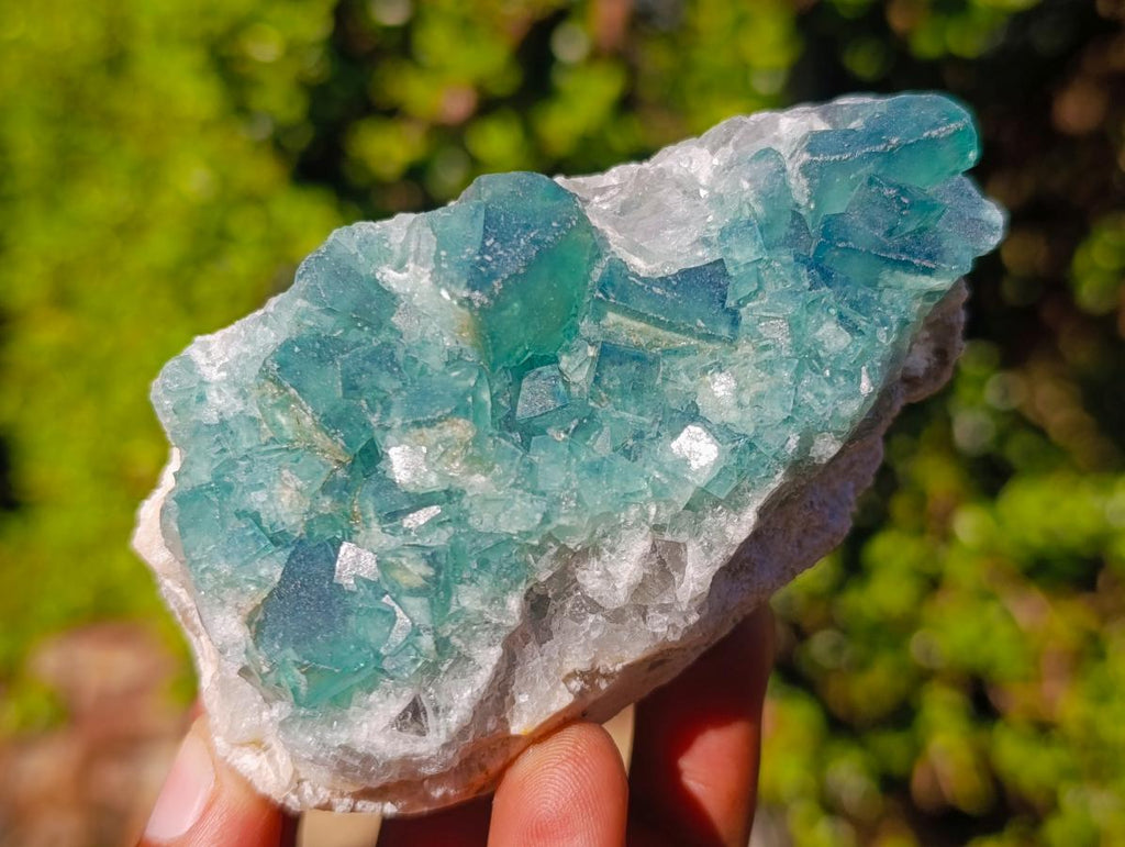 Natural Green Cubic Fluorite Specimens x 6 From Mandrosonoro, Madagascar - Toprock Gemstones and Minerals 