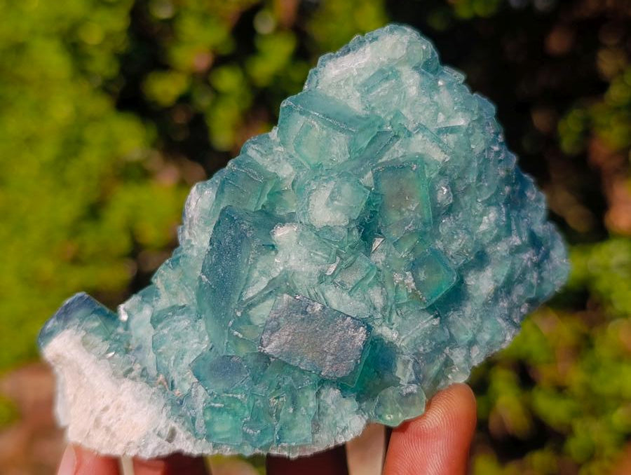 Natural Green Cubic Fluorite Specimens x 6 From Mandrosonoro, Madagascar - Toprock Gemstones and Minerals 
