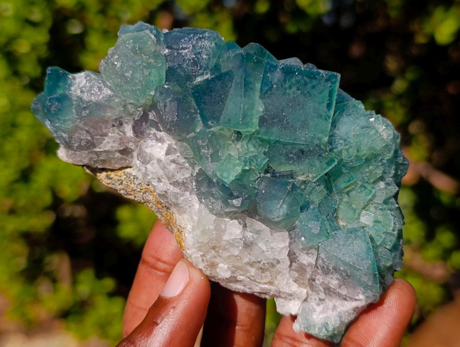 Natural Green Cubic Fluorite Specimens x 6 From Mandrosonoro, Madagascar - Toprock Gemstones and Minerals 